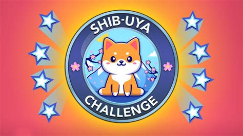 How to Complete The Shib.